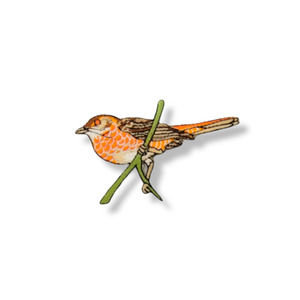 Sparrow on a branch 3 1/2" x 2 1/2" Iron On or Sew On